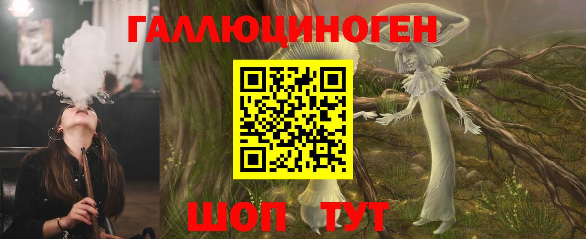 Галлюциногенные грибы Psilocybine cubensis Калуга